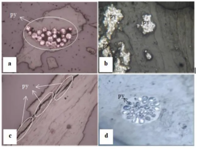 Gambar  4  Fotomikrograf  mineral  pirit,  (a). 