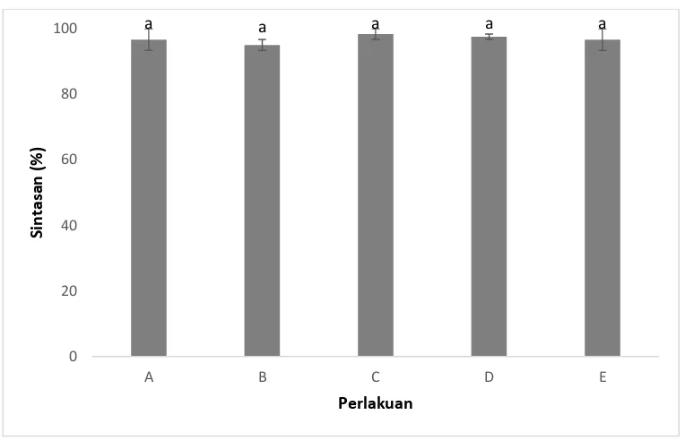 Gambar 4. Sintasan ikan nila biru selama pemeliharaan. A (100% jantan), B (75% jantan : 25% betina), C (50% jantan : 50% betina), D (25% jantan : 75% betina), dan E (100% betina) 