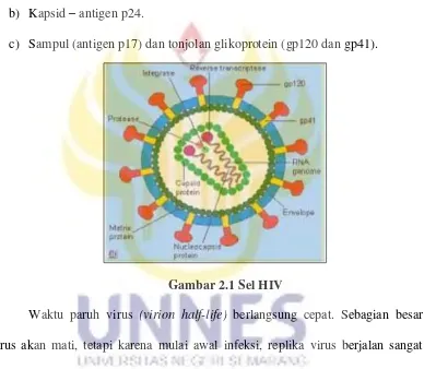 Gambar 2.1 Sel HIV 