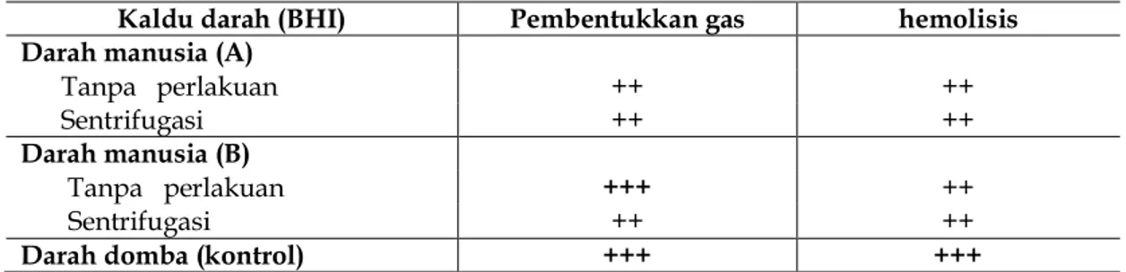 Tabel 4.  Pertumbuhan bakteri anaerob (Clostridium perfringens) pada perbenihan kaldu darah (BHI) 