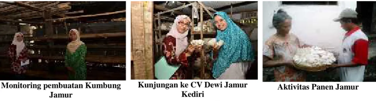 Gambar 2. Pendampingan dan Monitoring Budidaya Jamur Tiram di Kec. Wates, Kabupaten Kediri