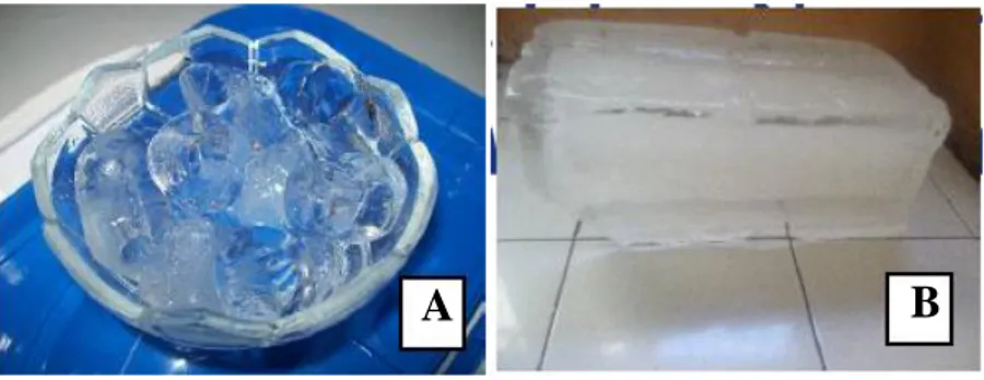 Gambar 2.1 Es Batu Kristal (a) dan Es Batu Balok (b)  (Sumber: Khotimah, 2016) 
