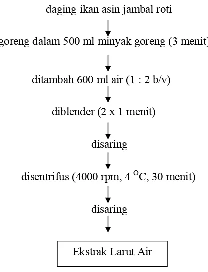 Gambar 5. Diagram alir  proses ekstraksi. 