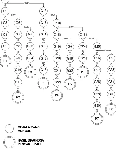 Gambar 5. Diagram Pohon Keputusan Sistem Pakar Penyakit Padi 