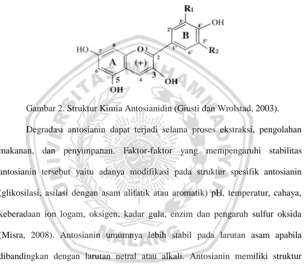 Gambar 2. Struktur Kimia Antosianidin (Giusti dan Wrolstad, 2003).   Degradasi  antosianin  dapat  terjadi  selama  proses  ekstraksi,  pengolahan  makanan,  dan  penyimpanan