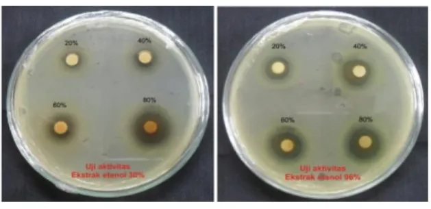 Tabel  2.  Hasil  pemeriksaan    karakterisasi  serbuk  dan  ekstrak  etanol  kelopak bunga rosella 