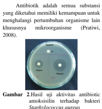 Gambar  2.Hasil  uji  aktivitas  antibiotic  amoksisilin  terhadap  bakteri 