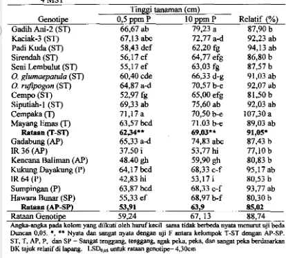 Tabel 9. Tinggi tanaman 18 genotipe padi di larutan hara pada dua konsentrasi P, 4MST 
