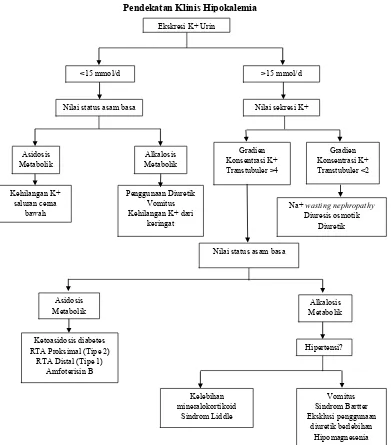 Gambar 2. Algoritma pendekatan diagnosis hipokalemia1