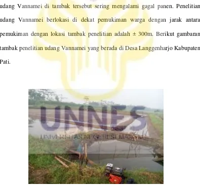 Gambar 7. Tambak Desa Langgenharjo Pati yang berada di dekat pemukiman                         warga dan berhadapan langsung dengan sungai