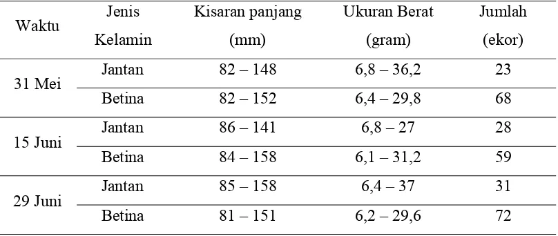 Tabel 2.   Kisaran Ukuran Ikan Bilih (Mystacoleucus padangensis Bleeker) setiap       pengambilan sampel dari Sungai Aek Alian Kabupaten Toba Samosir