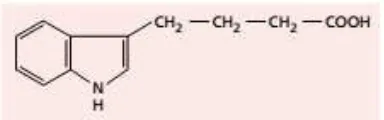 Gambar 3. Struktur kimia IBA (Taiz & Zeiger 2010). 