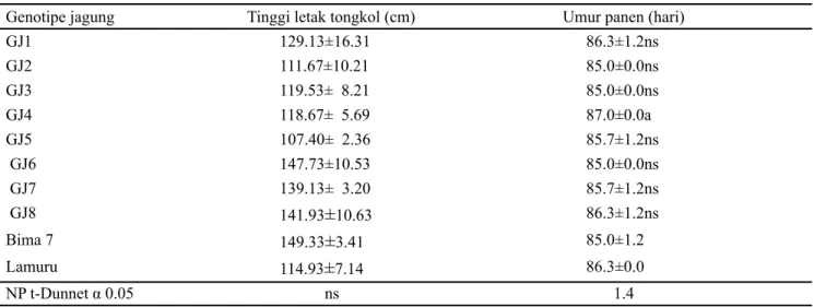 Tabel 3. Tinggi letak tongkol (cm) dan umur panen (Hari) dari berbagai genotipe jagung calon hibrida umur genjah