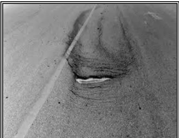 Gambar 3. lubang (potholes)  Sumber: Erni, 2011 