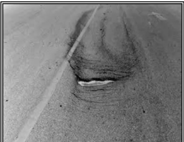 Gambar 3. lubang (potholes)  Sumber: Erni, 2011 