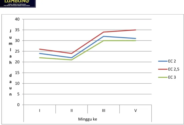 Gambar 4. Grafik pengamatan jumlah rata rata daun tanaman caisim 