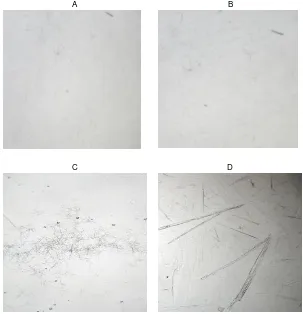 Gambar 1- Gambar mikroskopik kalsium oksalat dari getah umbi porang (A), suweg (B), walur (C) dan standar kalsium oksalat 