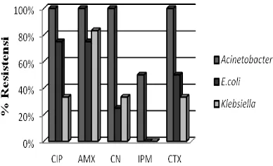 Gambar 4-  Pola resistensi kuman total isolat Gram negatif, CIP: Siprofloksasin; AMX: Amoksisilin; CN: Gentamisin; IPM: Imipenem; CTX: Sefotaksim