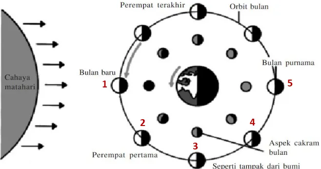 Gambar 11. Fase- fase Bulan Sumber: Ilmu Pengetahuan Populer, 2002 