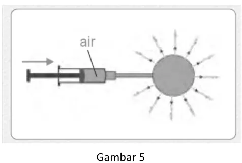 Gambar 5  