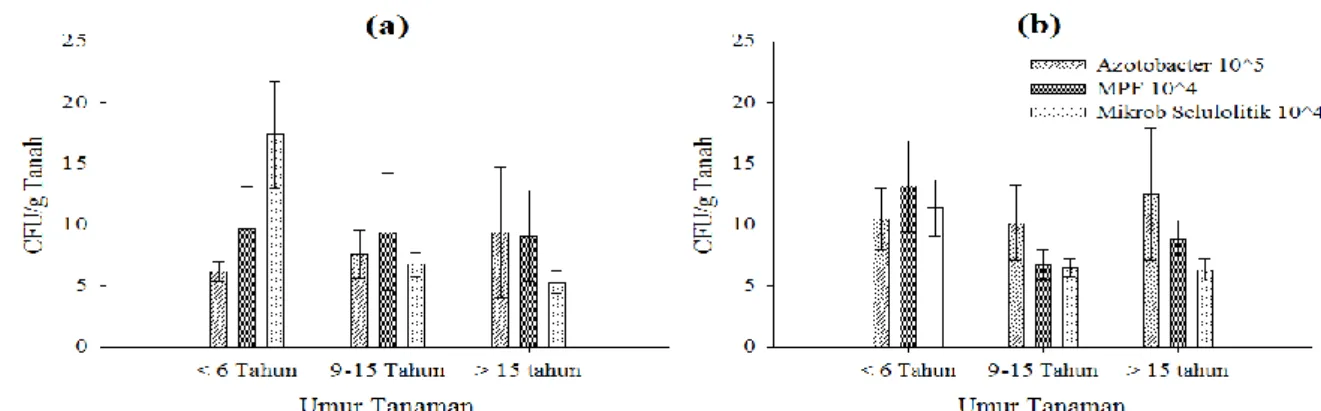 Gambar 3.  Populasi Azotobacter, MPF dan mikrob Selulolitik berdasarkan umur tanaman pada gambut dangkal (a) dan gambut tebal (b) 