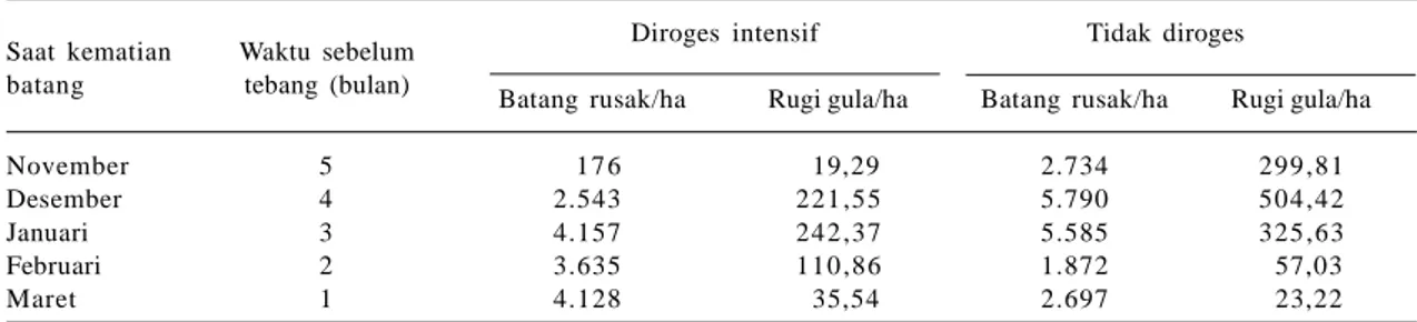 Tabel  4.  Perbandingan  kerusakan  dan  kerugian  produksi  gula  yang  diroges  dan  yang  tidak  diroges  pada varietas PS41 di area PG Gempol, Cirebon.