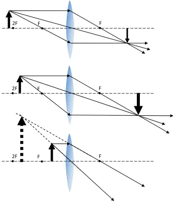 Gambar 11. Pembentukan bayangan oleh lensa cembung. Sifat dan perbesaran bayangan bergantung pada posisi benda