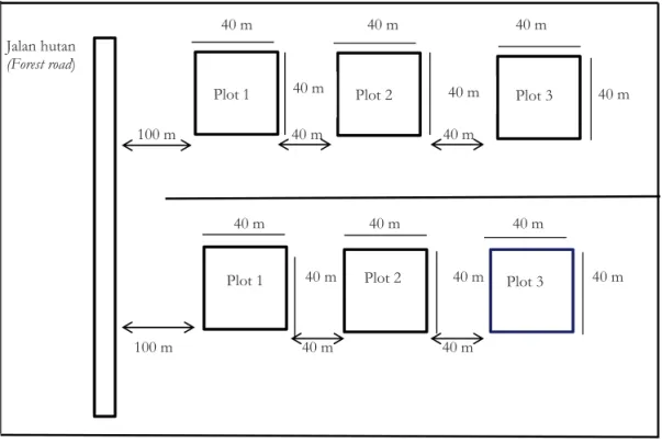 Gambar 1. Skema penempatan plot pada petak tebang terpilih Figure1. Plot setting scheme on the selected felling block
