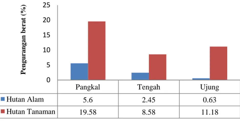 Gambar 2. Grafik Pengurangan berat rata – rata S. leprosula hutan alam dan hutan tanaman setelah pengujian pada jamur P