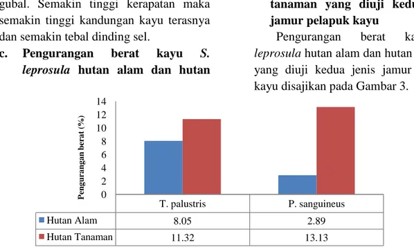 Gambar 3. Grafik pengurangan berat S. leprosula hutan alam dan hutan tanaman pada jamur pelapuk kayu T