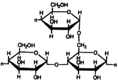 Gambar 2.4. Struktur Molekul Amilopektin 