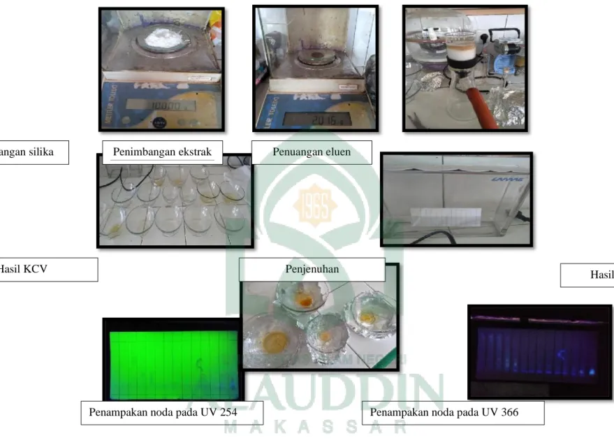 Gambar 5. Proses kromatografi cair vakum (KCV) Penimbangan silika Penimbangan ekstrak