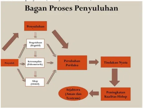 Gambar 1 Bagan Proses Penyuluhan 