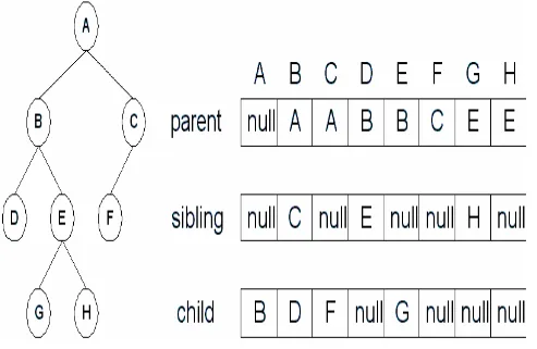 Gambar 2.14 Pohon berakar yang direpresentasikan dengan struktur dataParent : akar dari node yang ada di atasnya  Sibling   : node yang merupakan tetangga sebelah kanan dari parent yang sama 