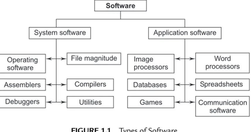 FIGURE 1.1  Types of Software