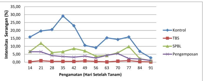 Gambar  2  Rata-rata  Persentase  (%)  Intensitas  Serangan  Tikus  terhadap  Tanaman  Padi  pada  setiap  perlakuan  dari  umur  tanaman  14  sampai  91  hari  HST 