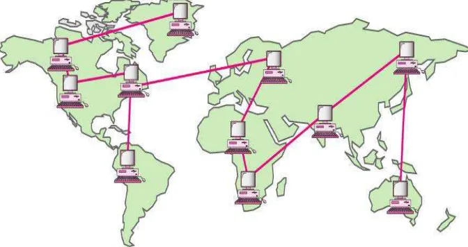 Gambar 2.4  . WAN  (Wide  Area  Network 