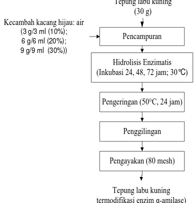 Gambar 2.  Diagram alir proses pembuatan tepung labu kuning termodifikasi      α-amilase kecambah kacang hijau (modifikasi Suarni et al., 2007)  