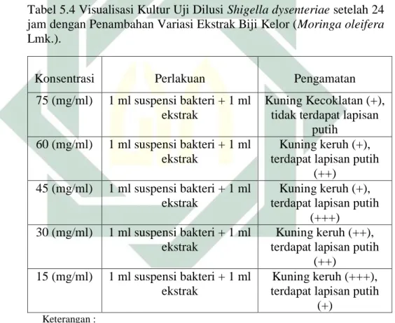Tabel 5.4 Visualisasi Kultur Uji Dilusi Shigella dysenteriae setelah 24  jam dengan Penambahan Variasi Ekstrak Biji Kelor (Moringa oleifera  Lmk.)