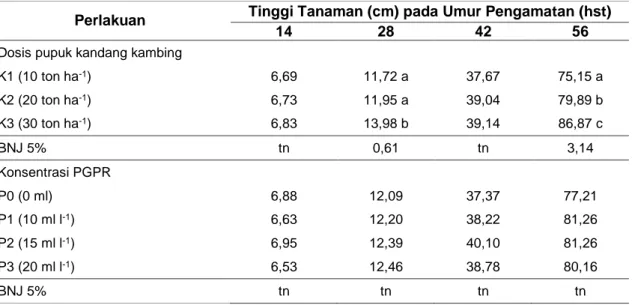 Tabel  1.  Rerata  Tinggi  Tanaman  Terung  Akibat  Aplikasi  Pupuk  Kandang  Kambing  dan 