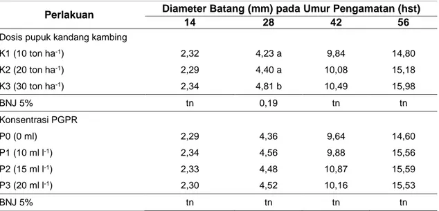 Tabel  2.  Rerata  Diameter  Batang  Tanaman  Terung  Akibat  Aplikasi  Pupuk  Kandang  Kambing 