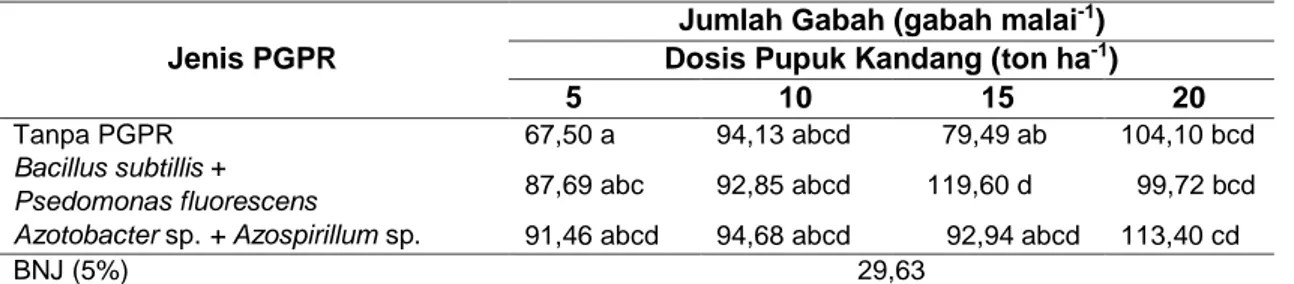 Tabel 4. Rerata Jumlah Gabah per Malai Akibat Interaksi antara Jenis PGPR dan Dosis Pupuk  Kandang 