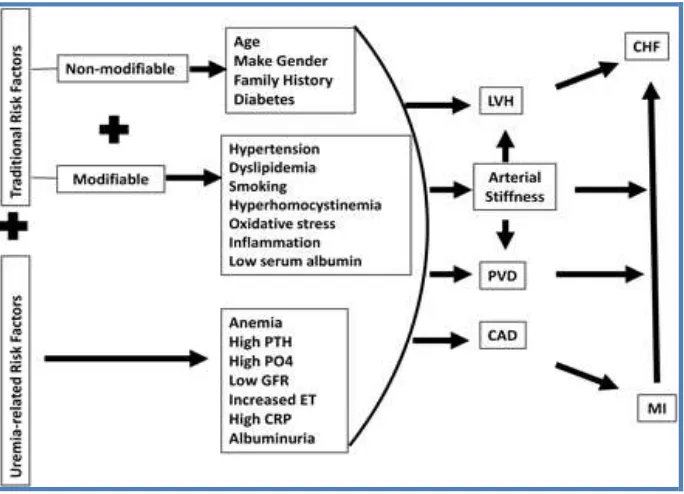 Gambar 1. Faktor-faktor yang mempengaruhi terjadinya penyakit kardiovaskular pada  penderita                      GGK  (Heinrich dkk, 2009) 