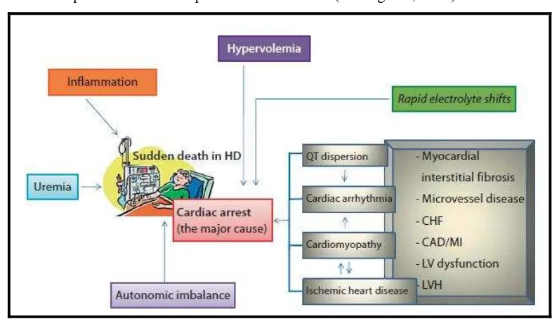 Gambar 4. Faktor penyebab  kematian pada pasien hemodialisis (Kanbay dkk, 2010) 
