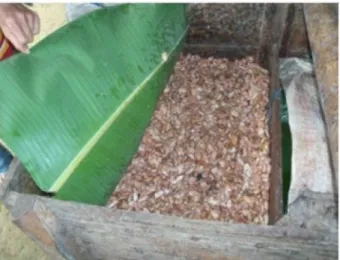 Gambar  5.   Ruang  lingkup  sistem  pengelolaan  unit  pengolahan  hasil  kakao  (Mulato  2011).