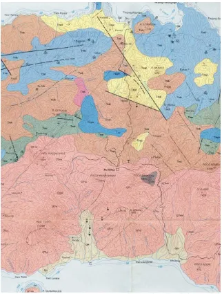 Gambar 2. Peta penyebaran batuan di daerah Flores bagian barat.  