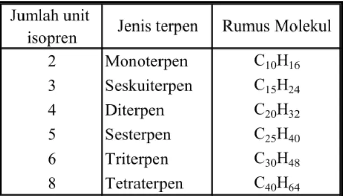 Gambar 2.1 Unit Isopren (C 5 H 8 ) 