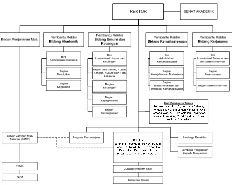 Gambar 4. Struktur organisasi Unsyiah dan BJM yang melekat di dalamnya 