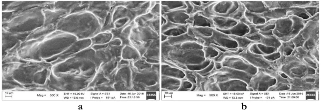 Gambar  7.    Mikrostruktur  bakso  tanpa  perendaman  pada  gambar  (7.a)  dan  mikrostruktur  bakso  dengan  perlakuan suhu  4 °C lama perendaman 5 menit pada gambar (7.b) perbesaran 500 X