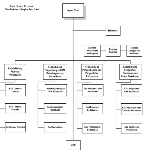 Gambar 3.1 struktur organisasi 